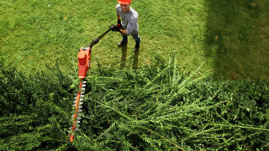 taille-haie sur perche sans fil 0640 SKIL taille-haie sur perche sans fil 0640 SKIL